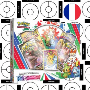 Coffret Collection avec Figurine ÉPÉE ET BOUCLIER