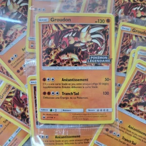 Groudon Pokémon Légendaire Carte Promo  [FR]